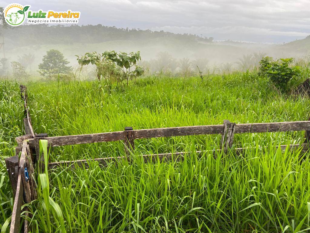 Fazenda à venda, 484m² - Foto 4