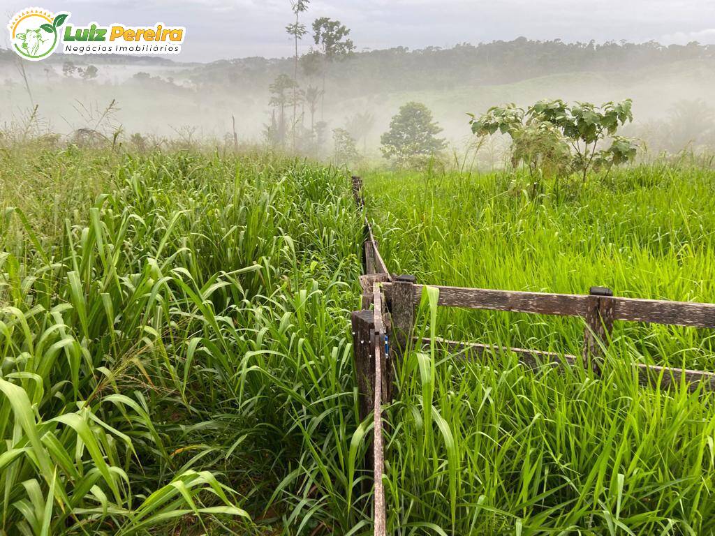 Fazenda à venda, 484m² - Foto 6