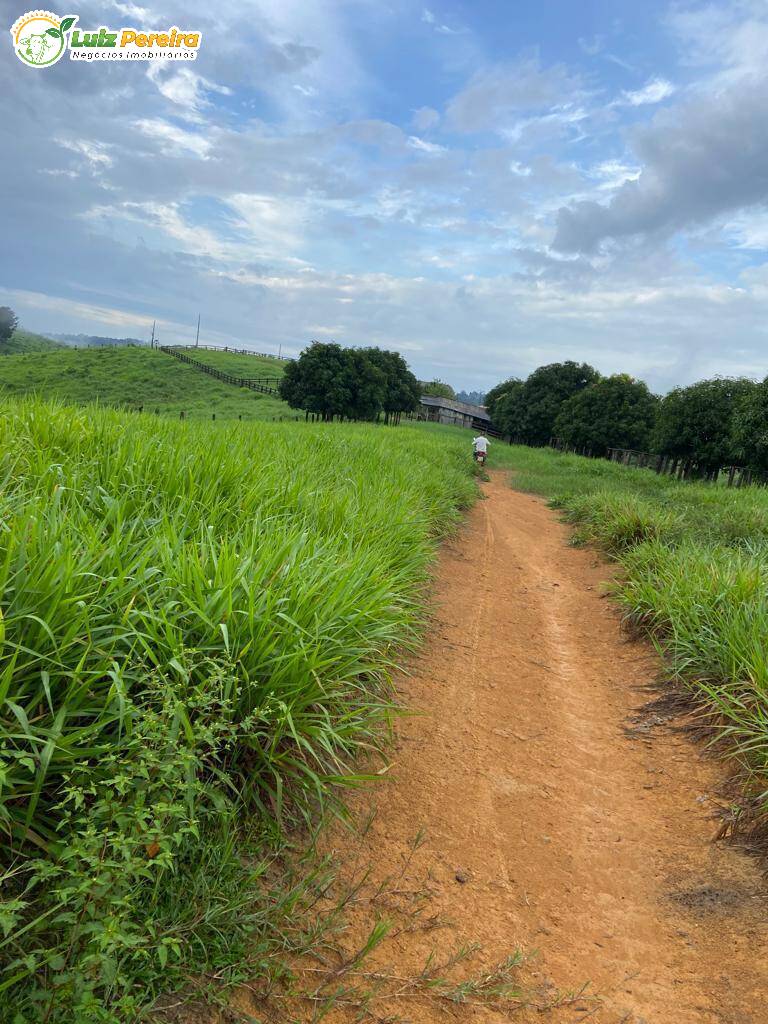 Fazenda à venda, 6051m² - Foto 9