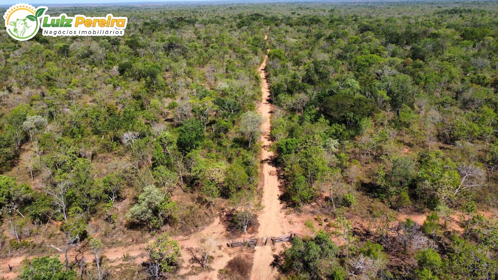 Fazenda à venda, 2420m² - Foto 5