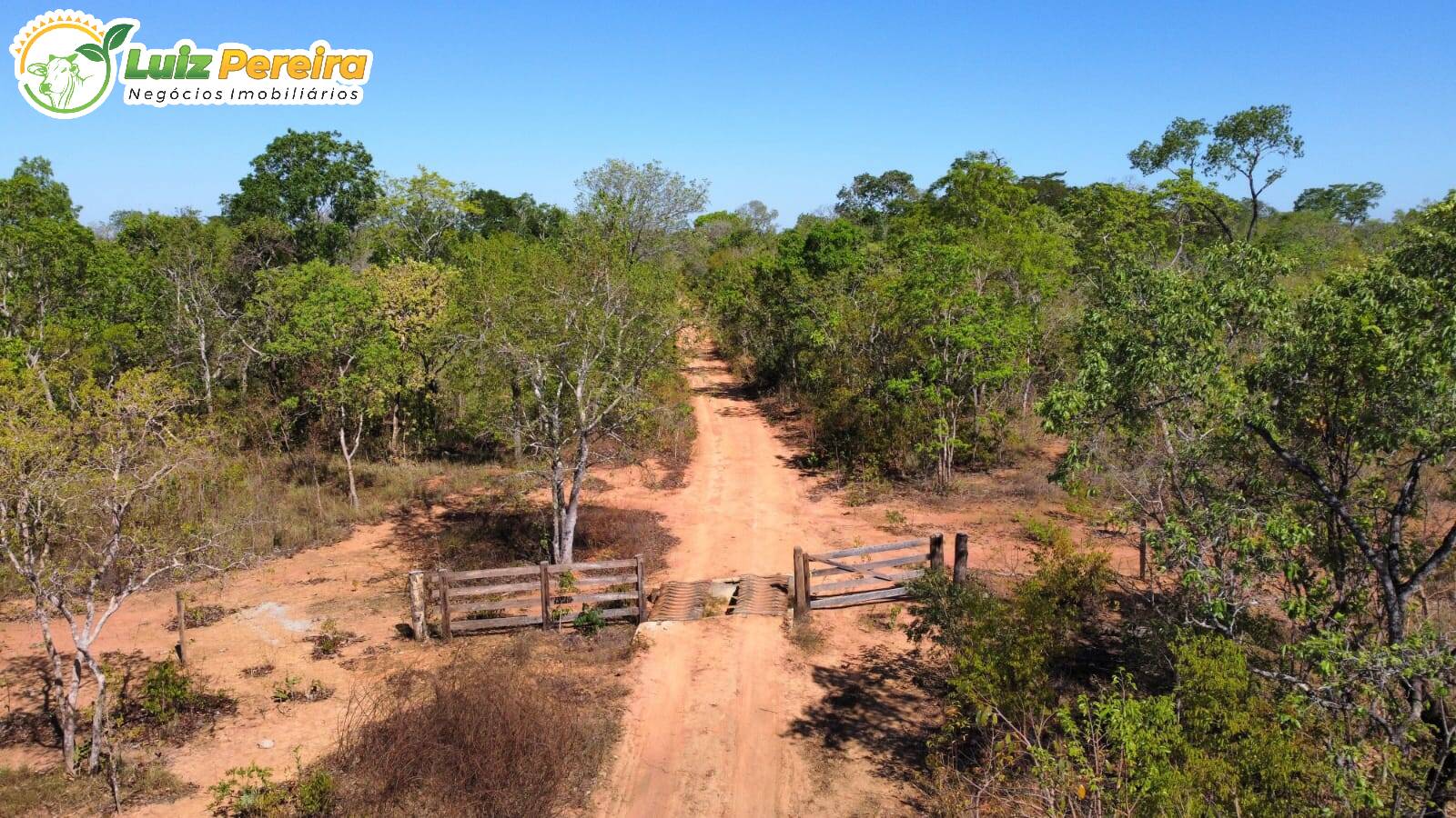 Fazenda à venda, 2420m² - Foto 6