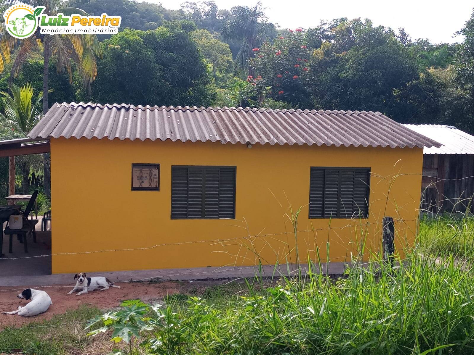 Fazenda à venda, 74m² - Foto 4