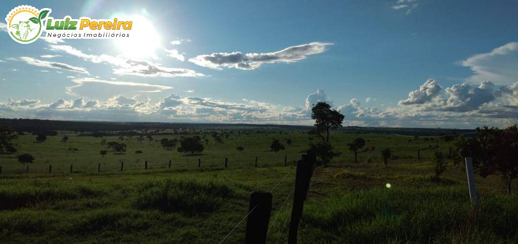 Fazenda à venda, 1452m² - Foto 6