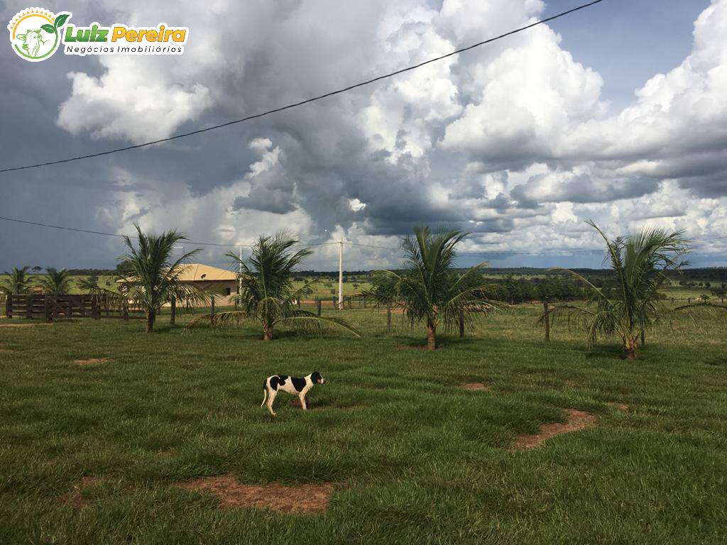 Fazenda à venda, 1452m² - Foto 8