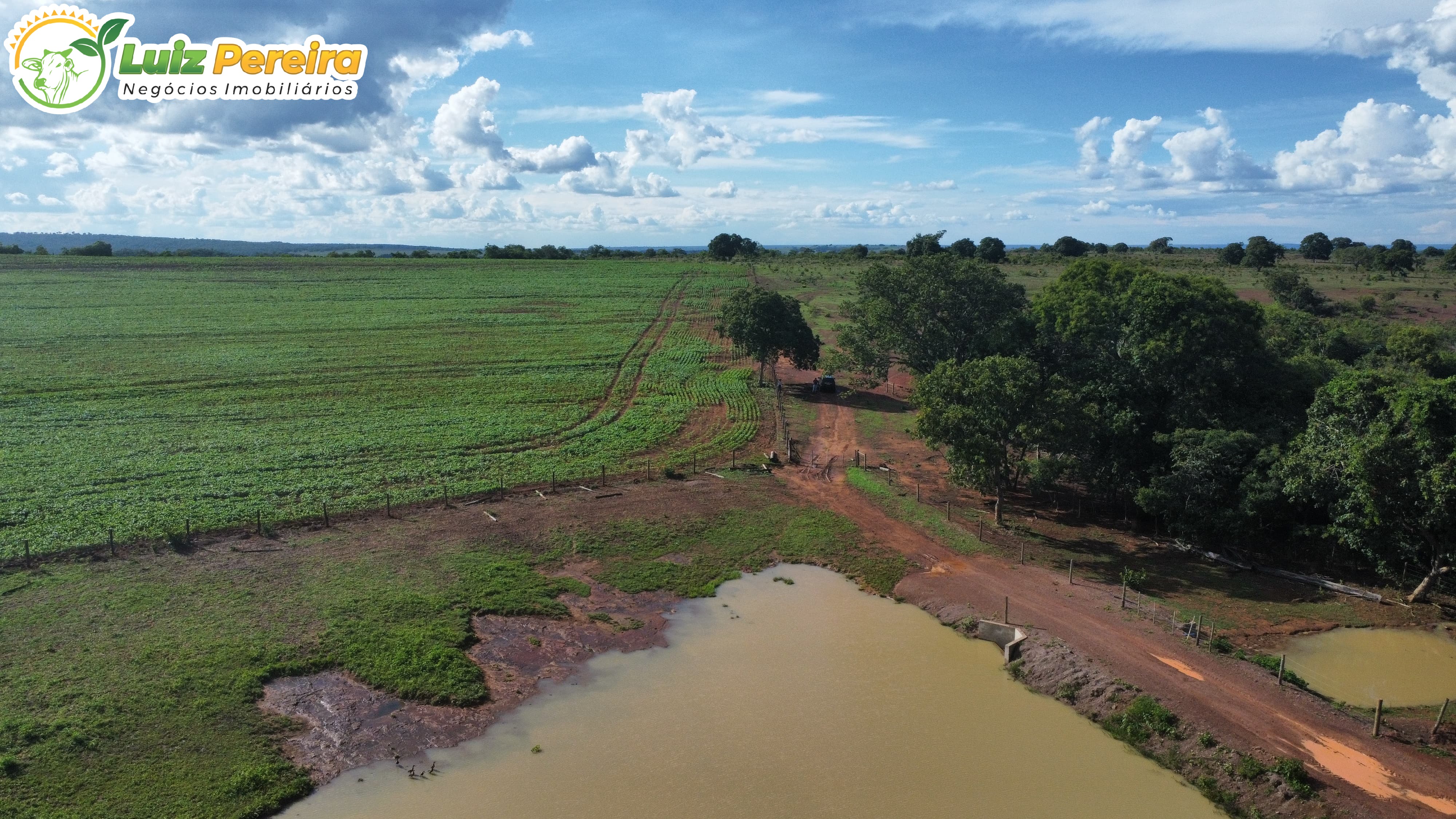 Fazenda à venda, 2300m² - Foto 5