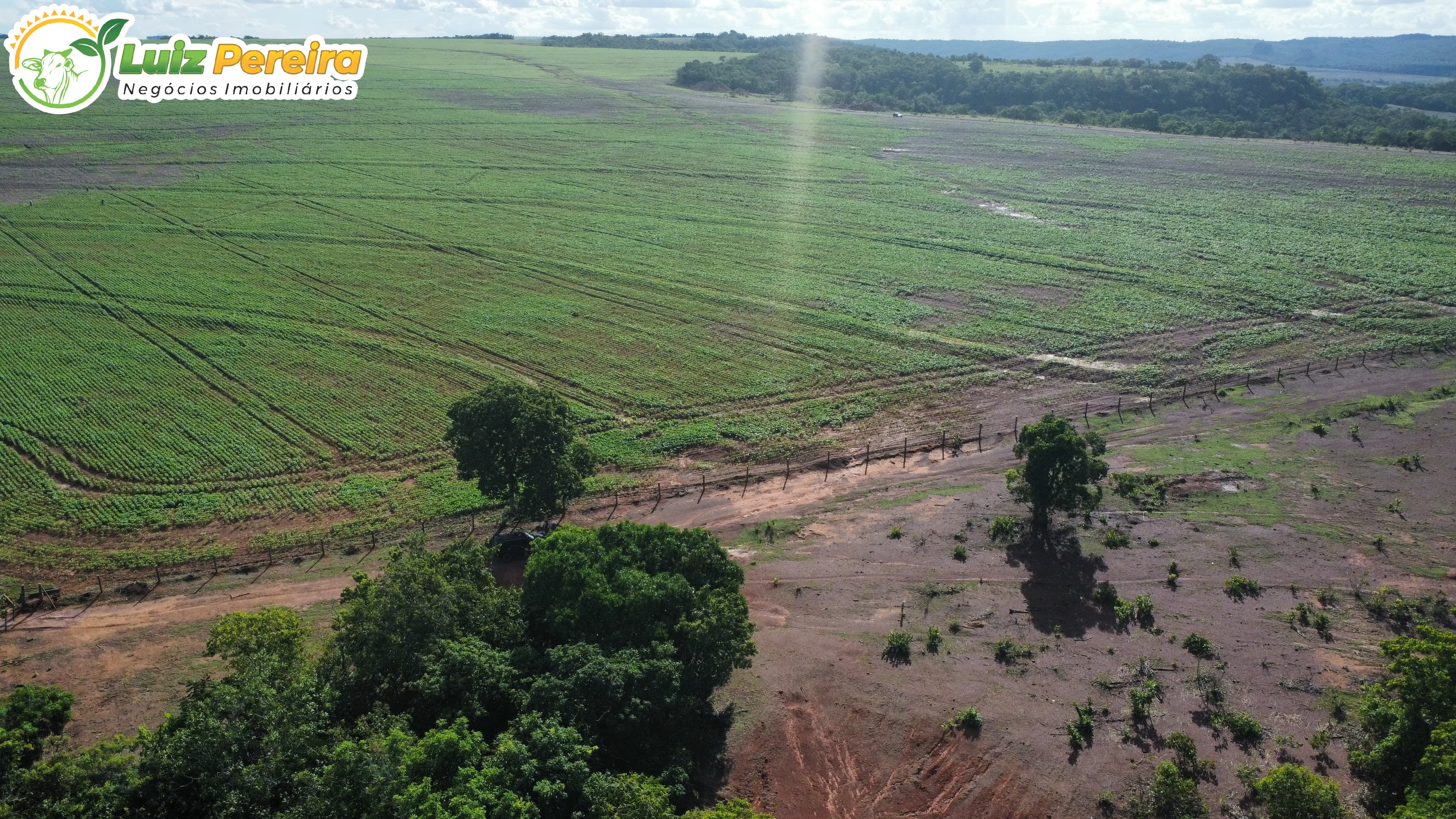 Fazenda à venda, 2300m² - Foto 7