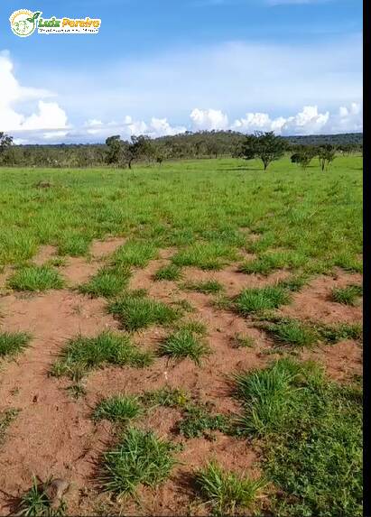 Fazenda à venda, 1432m² - Foto 6