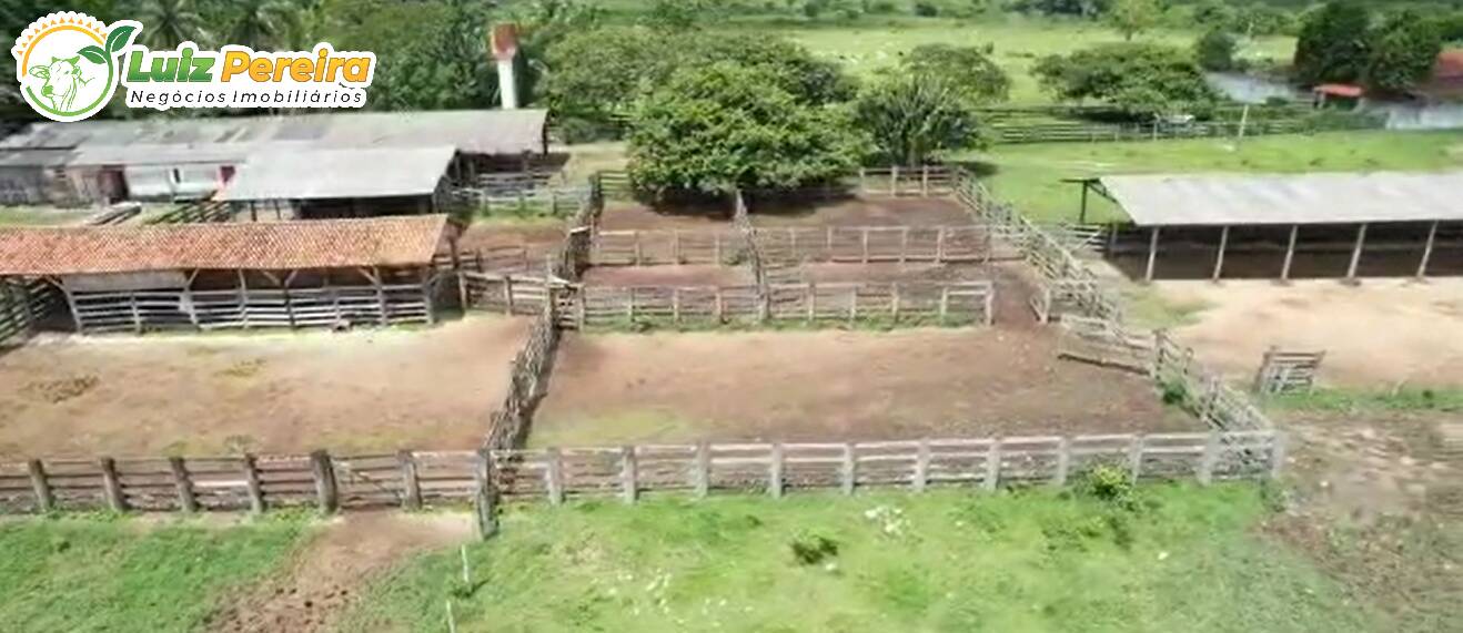 Fazenda à venda, 5464m² - Foto 3