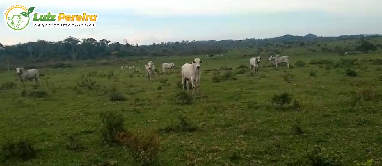 Fazenda à venda, 5464m² - Foto 6