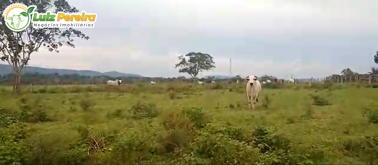 Fazenda à venda, 5464m² - Foto 7