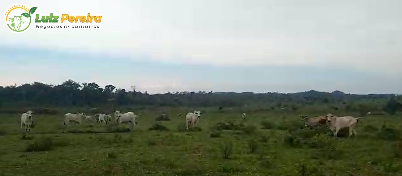 Fazenda à venda, 5464m² - Foto 5