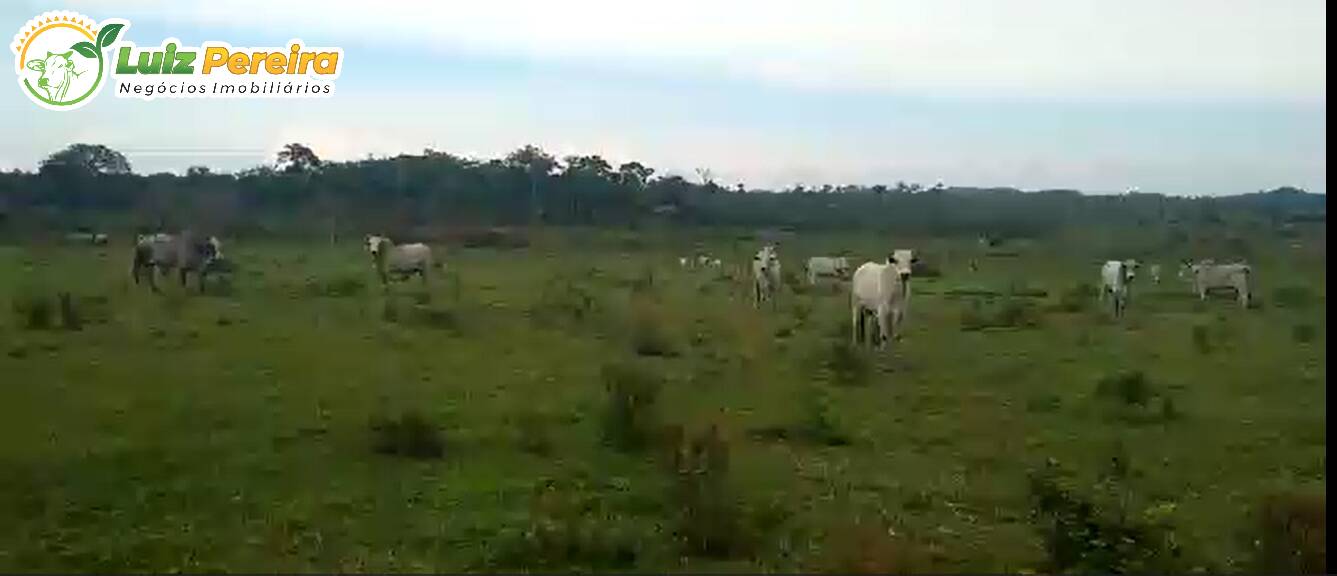 Fazenda à venda, 5464m² - Foto 9