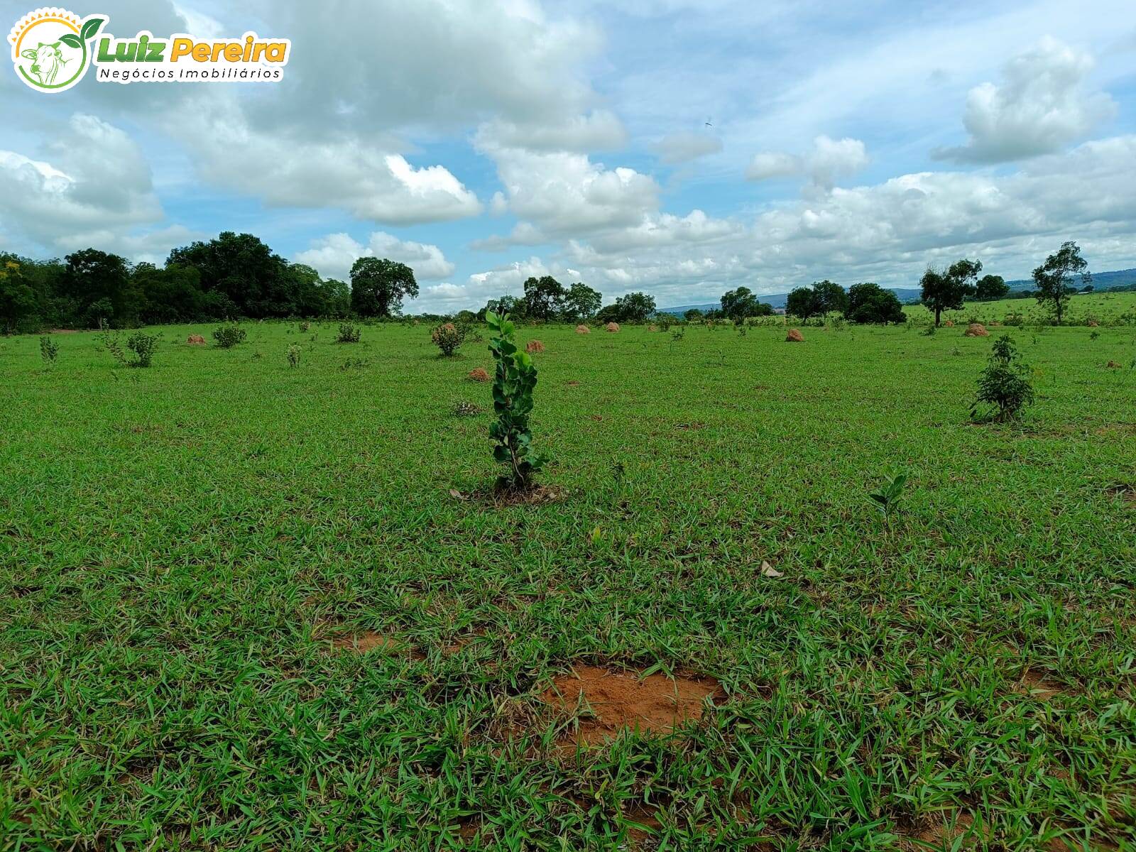 Fazenda à venda, 34m² - Foto 3