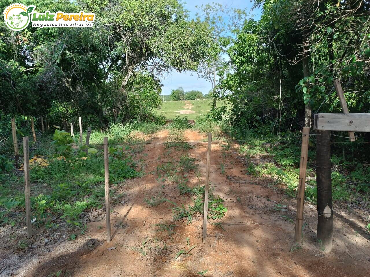 Fazenda à venda, 20m² - Foto 8