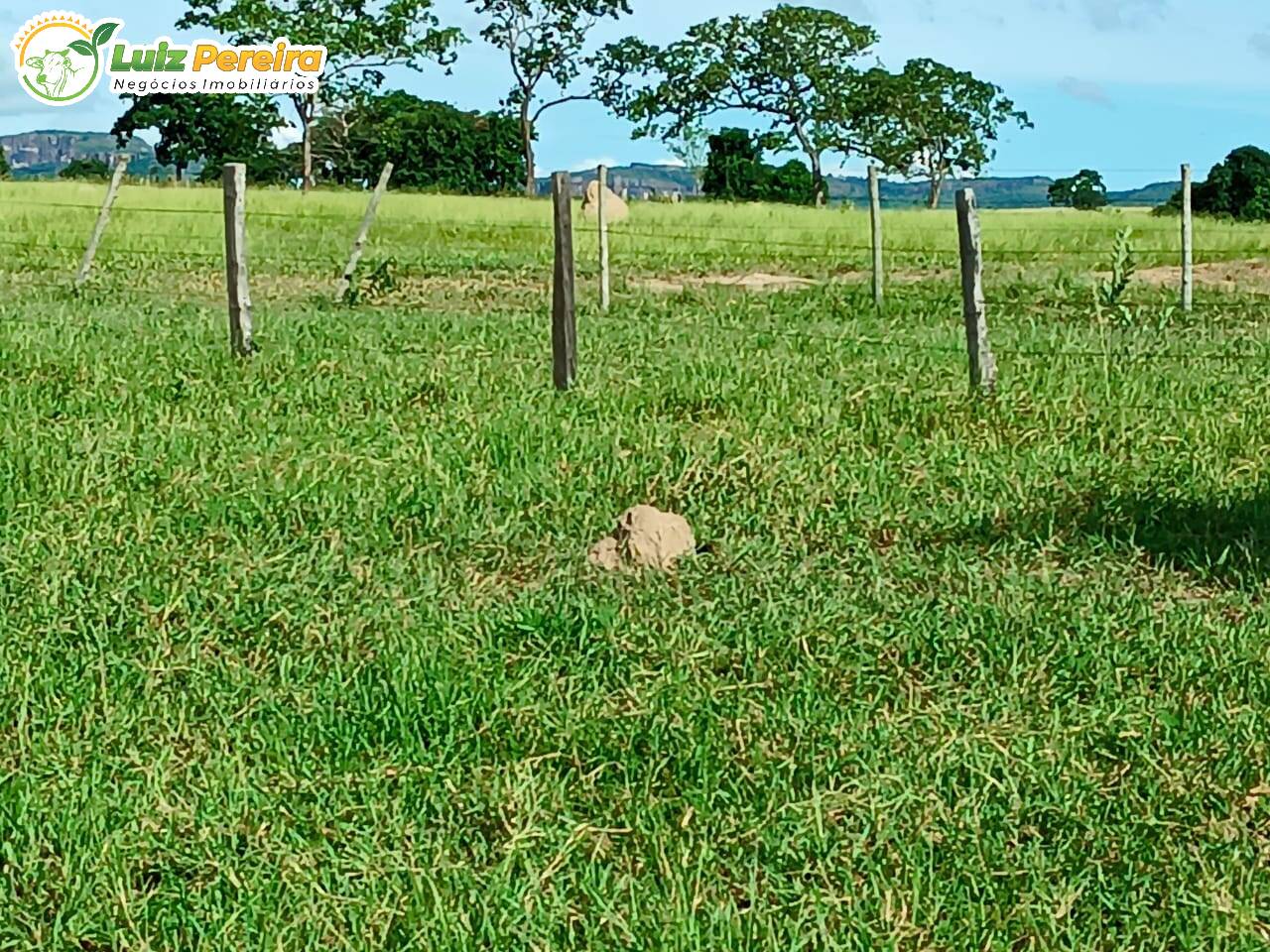 Fazenda à venda, 20m² - Foto 3