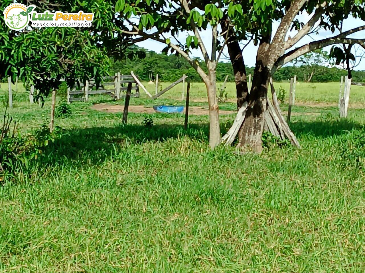 Fazenda à venda, 20m² - Foto 4