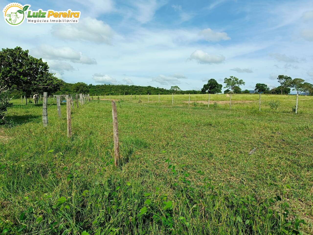 Fazenda à venda, 20m² - Foto 6