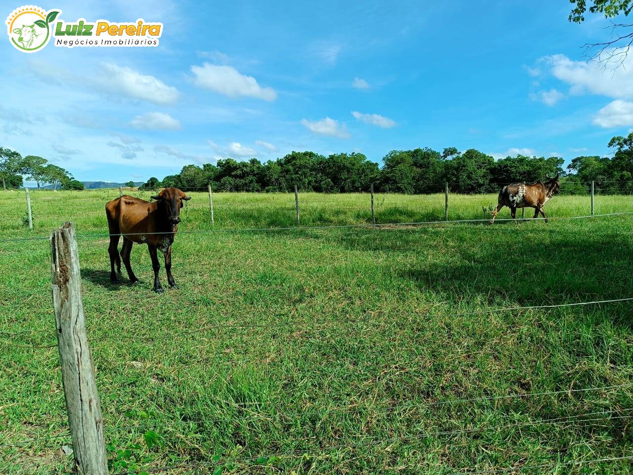 Fazenda à venda, 20m² - Foto 7