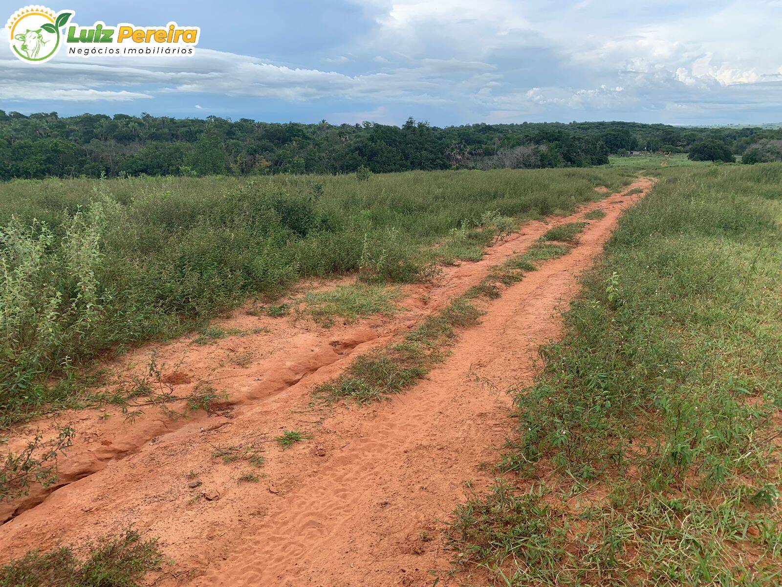 Fazenda à venda, 1322m² - Foto 6