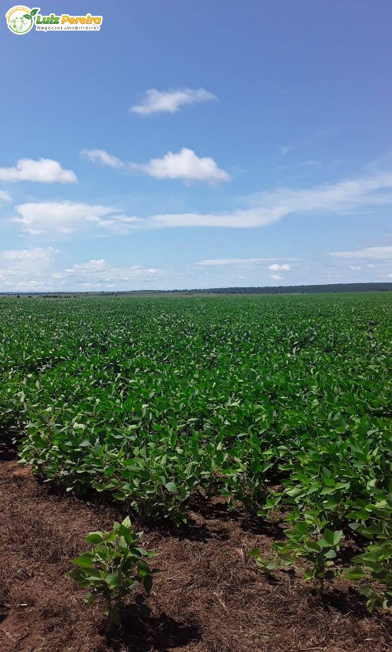 Fazenda à venda, 1322m² - Foto 3