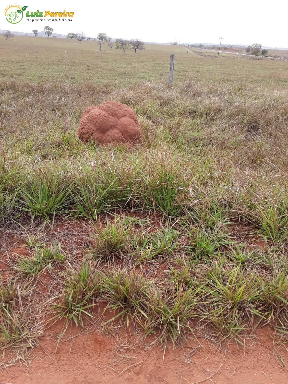 Fazenda à venda, 1322m² - Foto 8