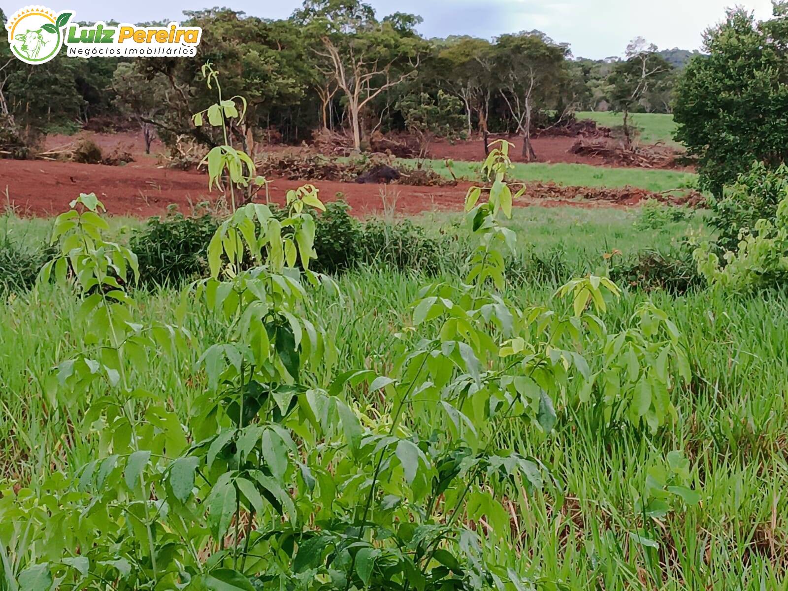 Fazenda à venda, 860m² - Foto 2