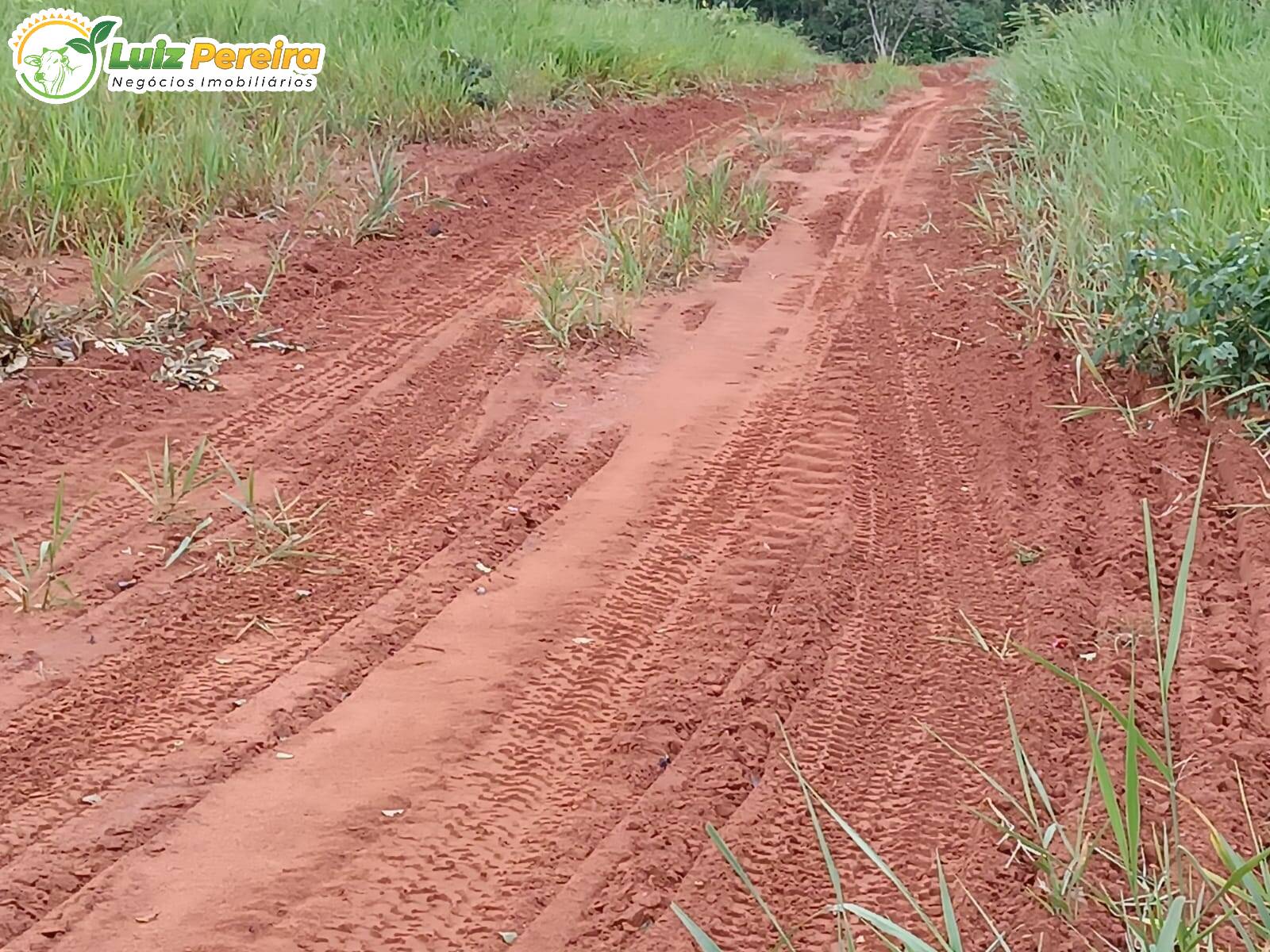 Fazenda à venda, 860m² - Foto 8