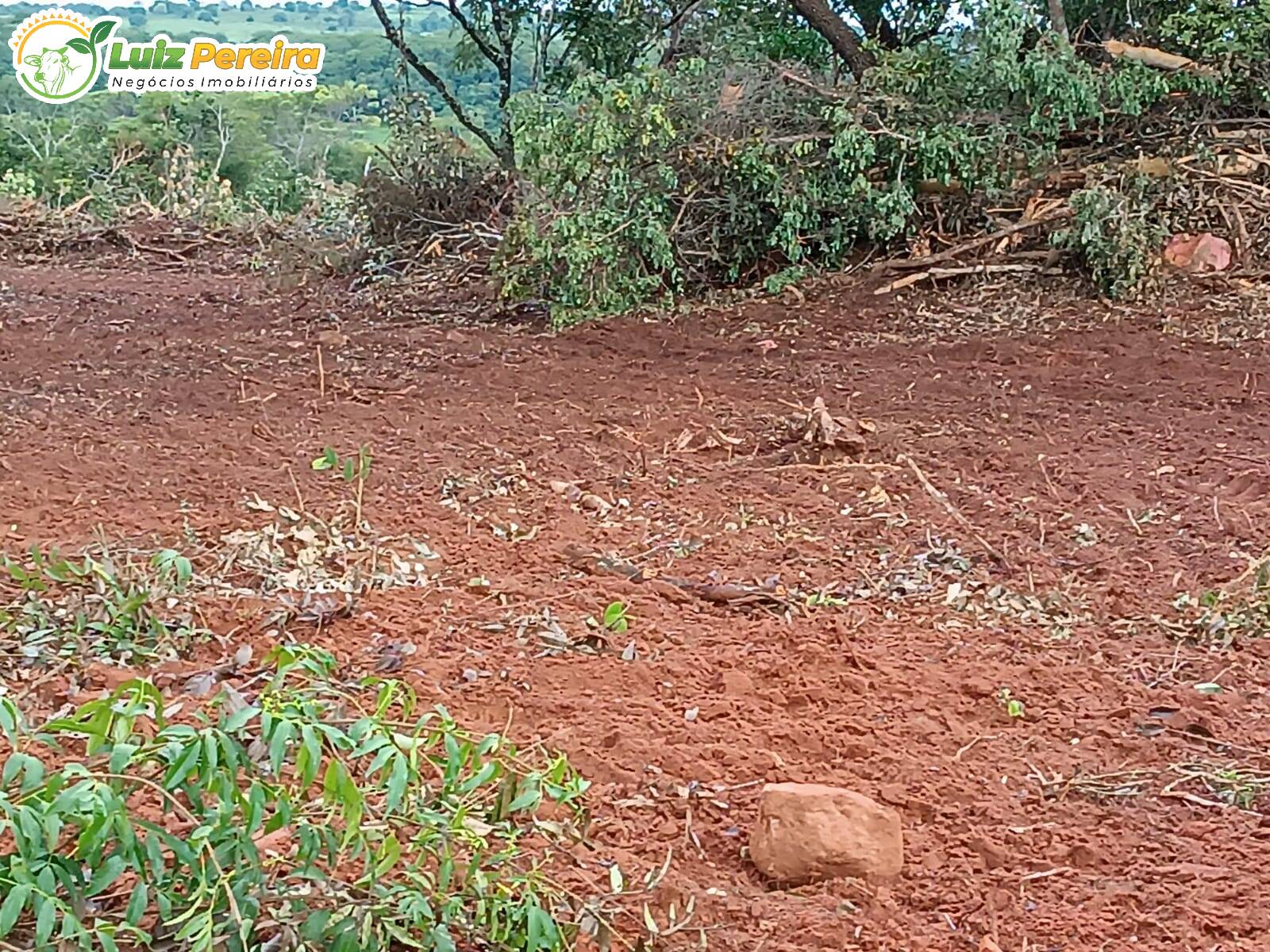 Fazenda à venda, 860m² - Foto 9