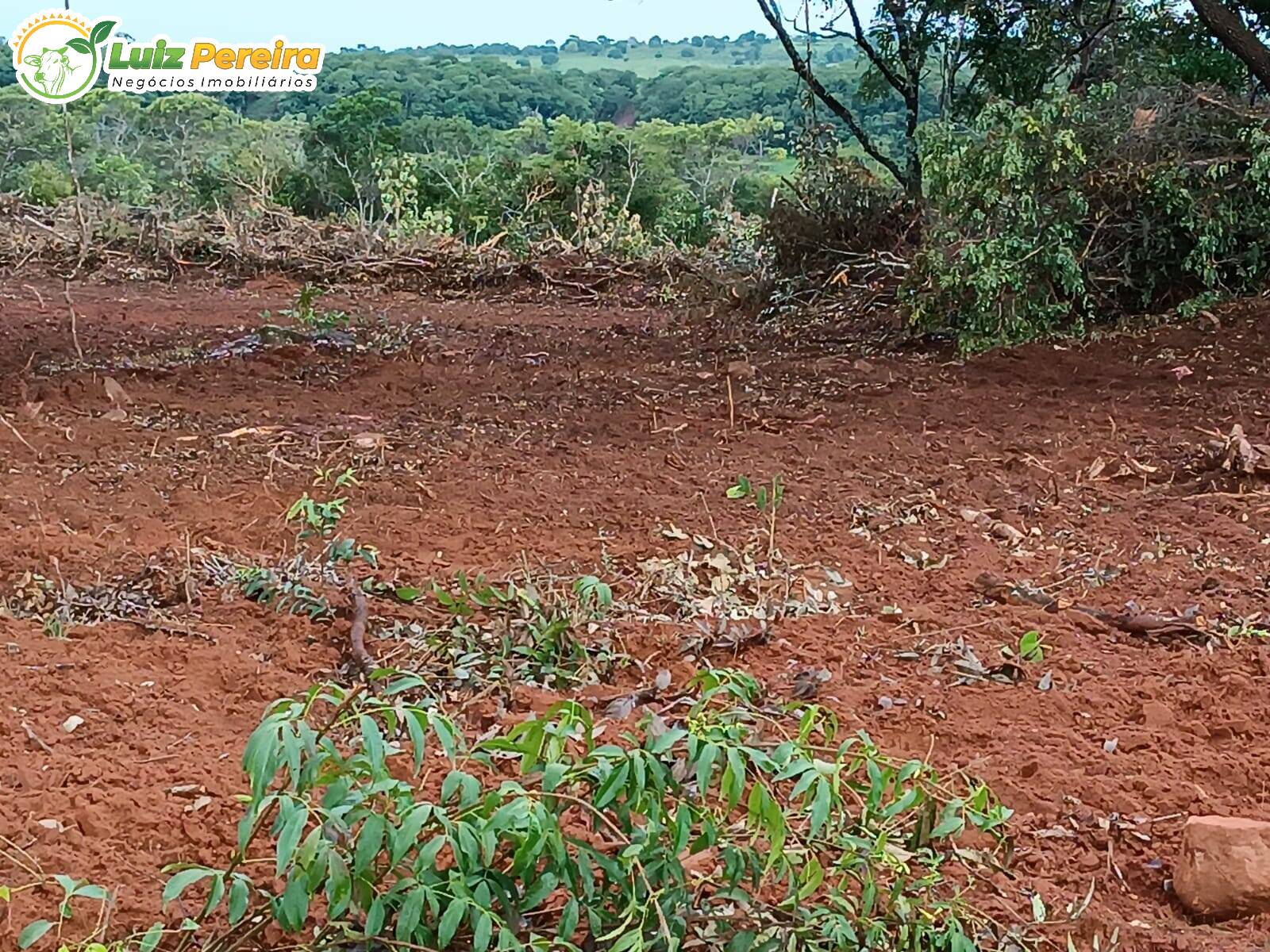 Fazenda à venda, 860m² - Foto 12