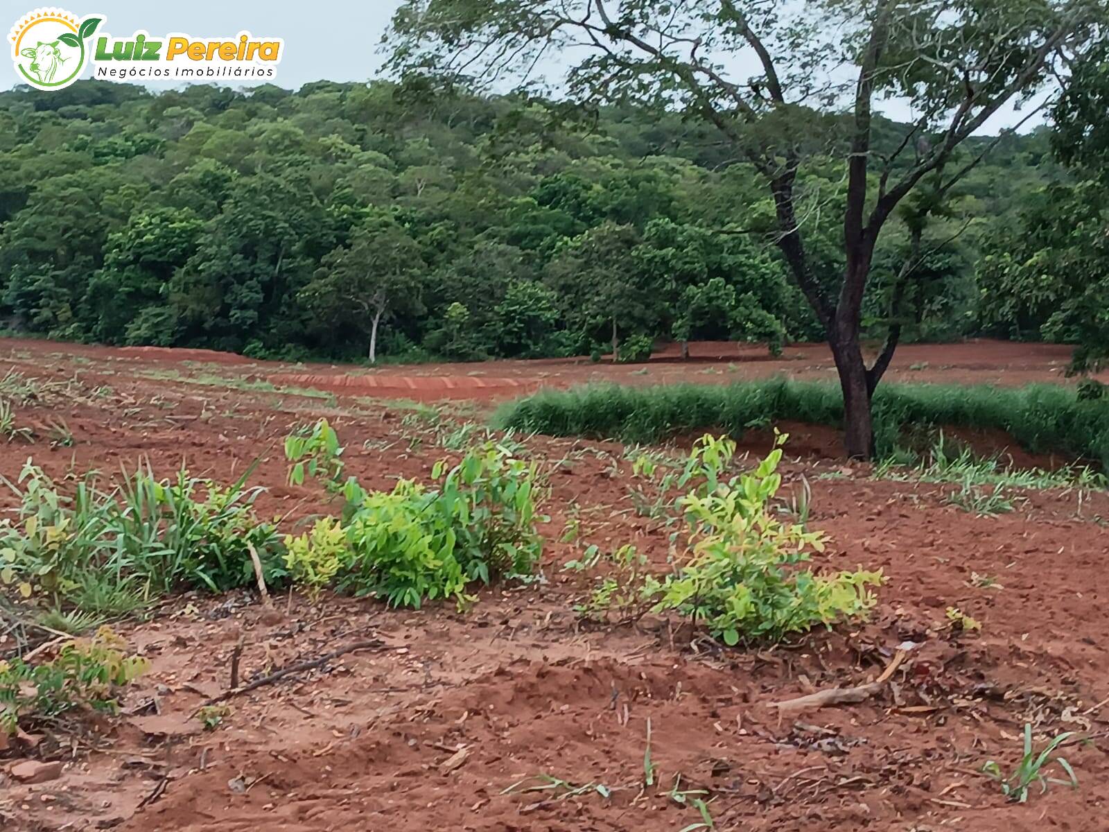 Fazenda à venda, 860m² - Foto 13