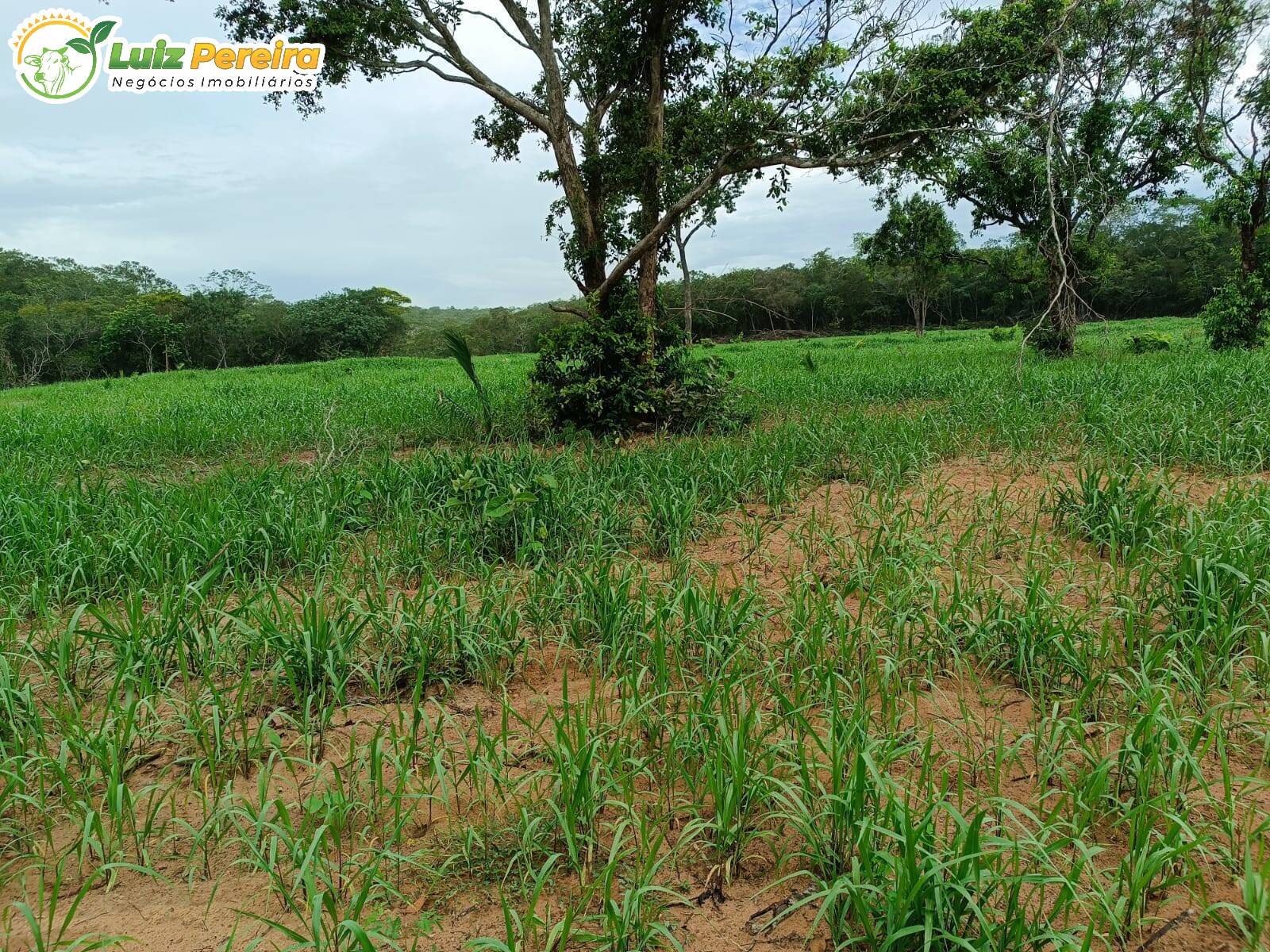 Fazenda à venda, 860m² - Foto 17