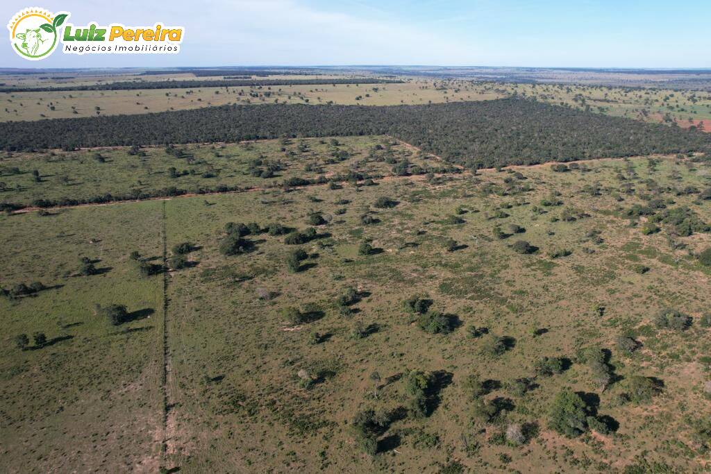 Fazenda à venda, 539m² - Foto 6