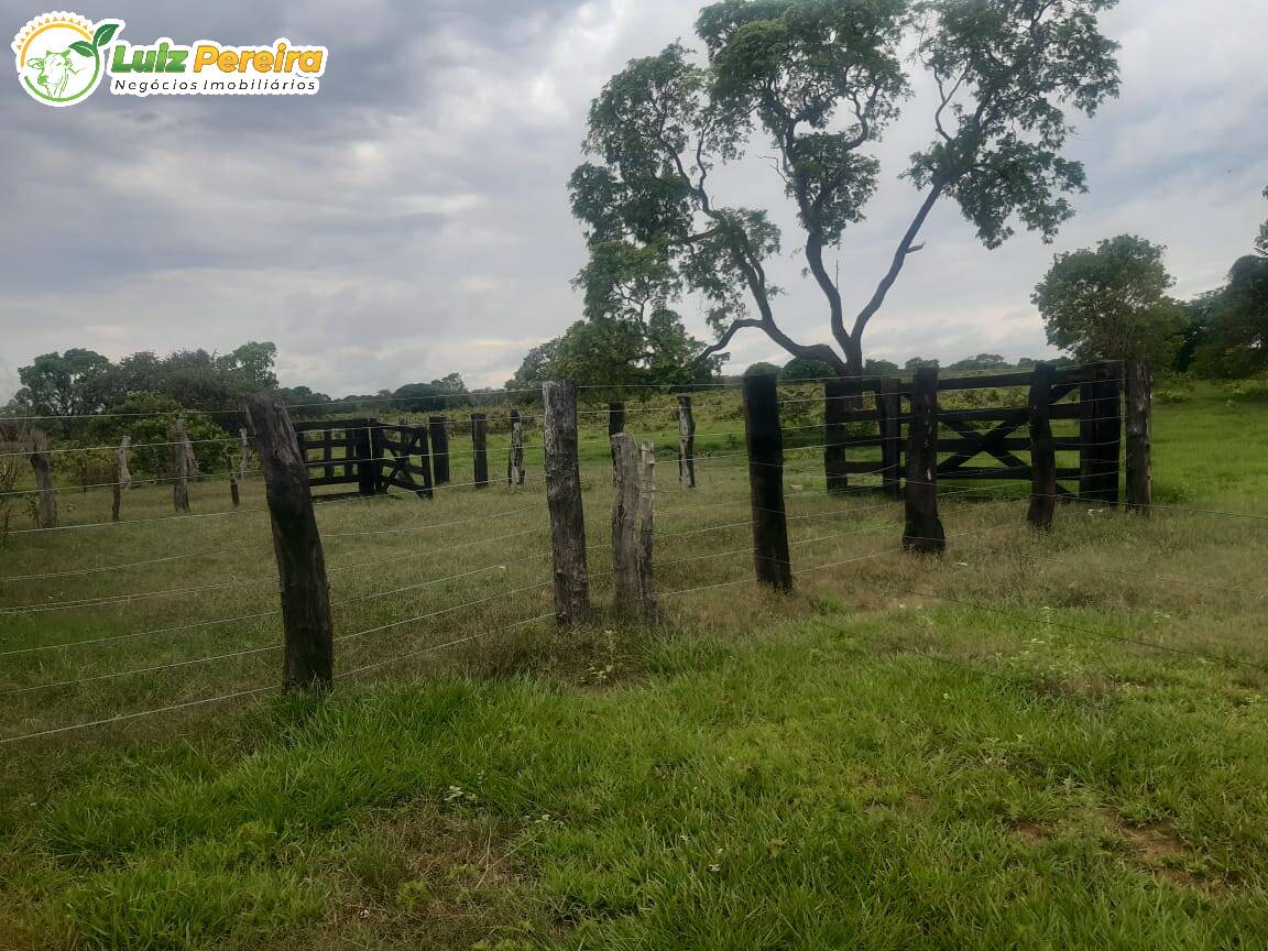 Fazenda à venda, 539m² - Foto 18