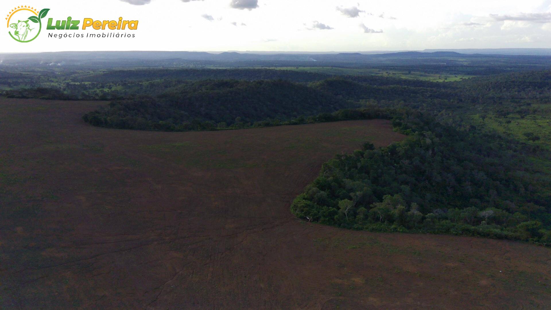 Fazenda à venda, 3000m² - Foto 5