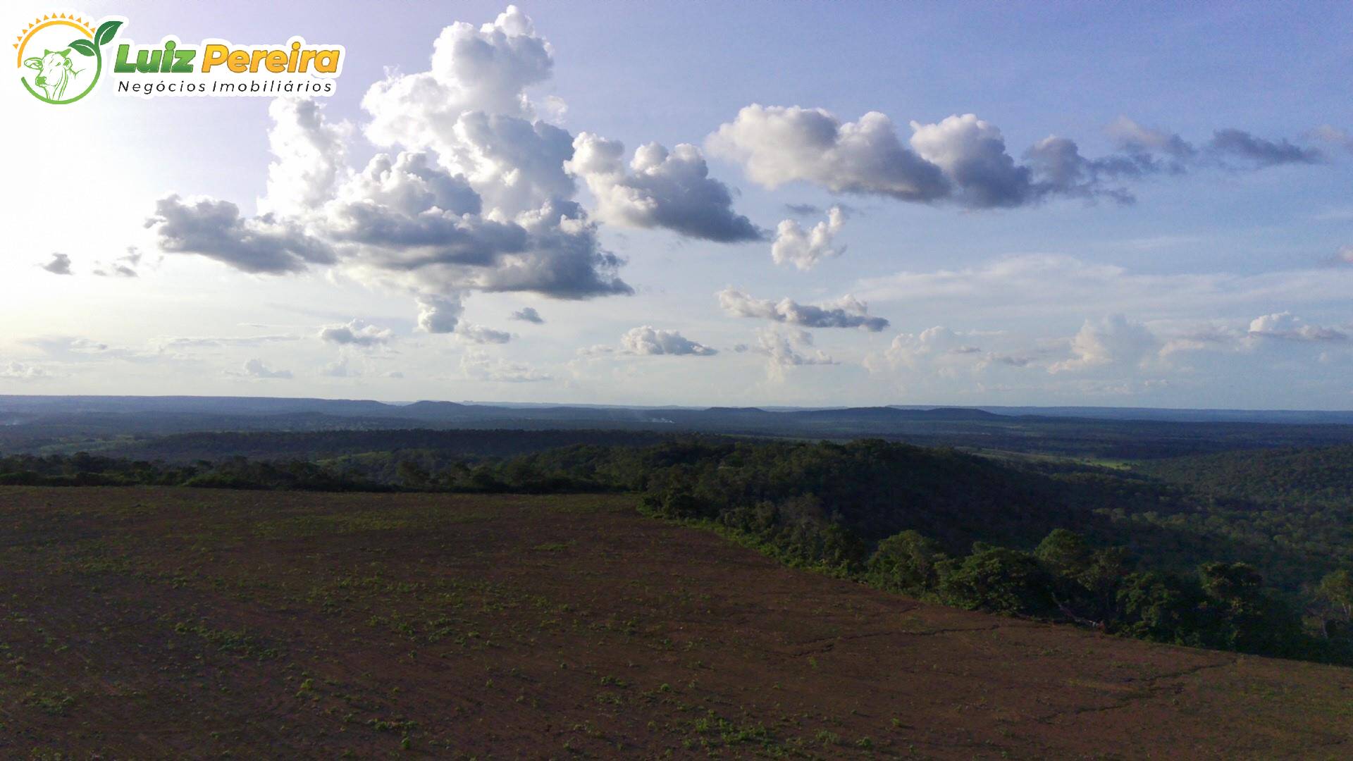 Fazenda à venda, 3000m² - Foto 6