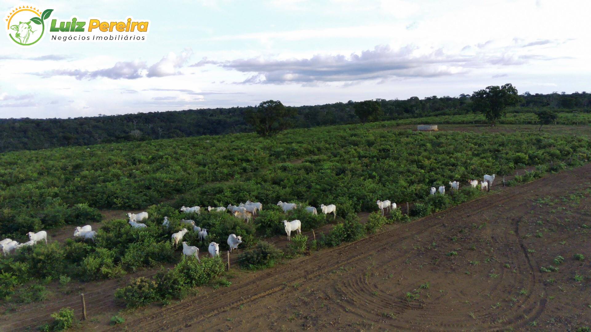 Fazenda à venda, 3000m² - Foto 7