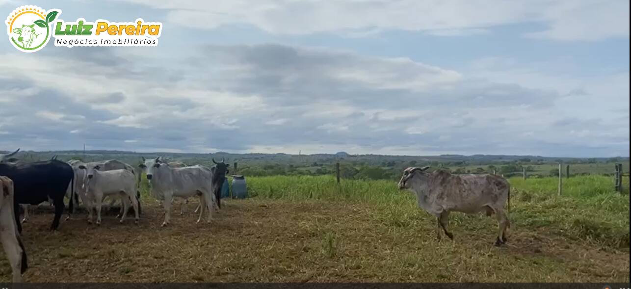 Fazenda à venda, 442m² - Foto 12