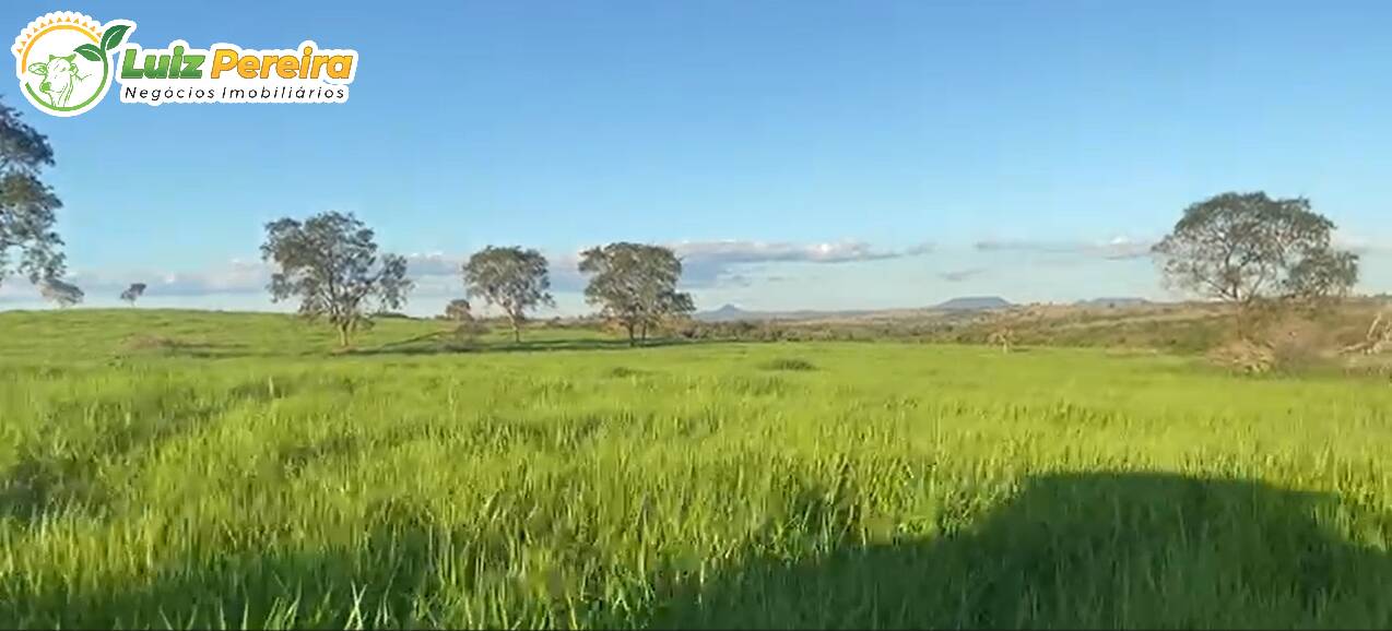 Fazenda à venda, 442m² - Foto 6