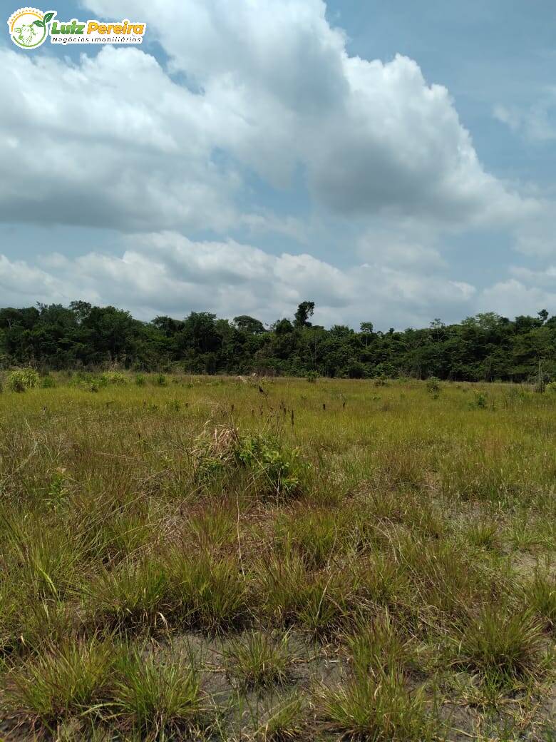 Fazenda à venda, 1400m² - Foto 4