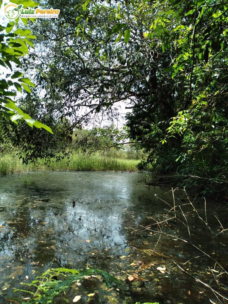 Fazenda à venda, 1400m² - Foto 1