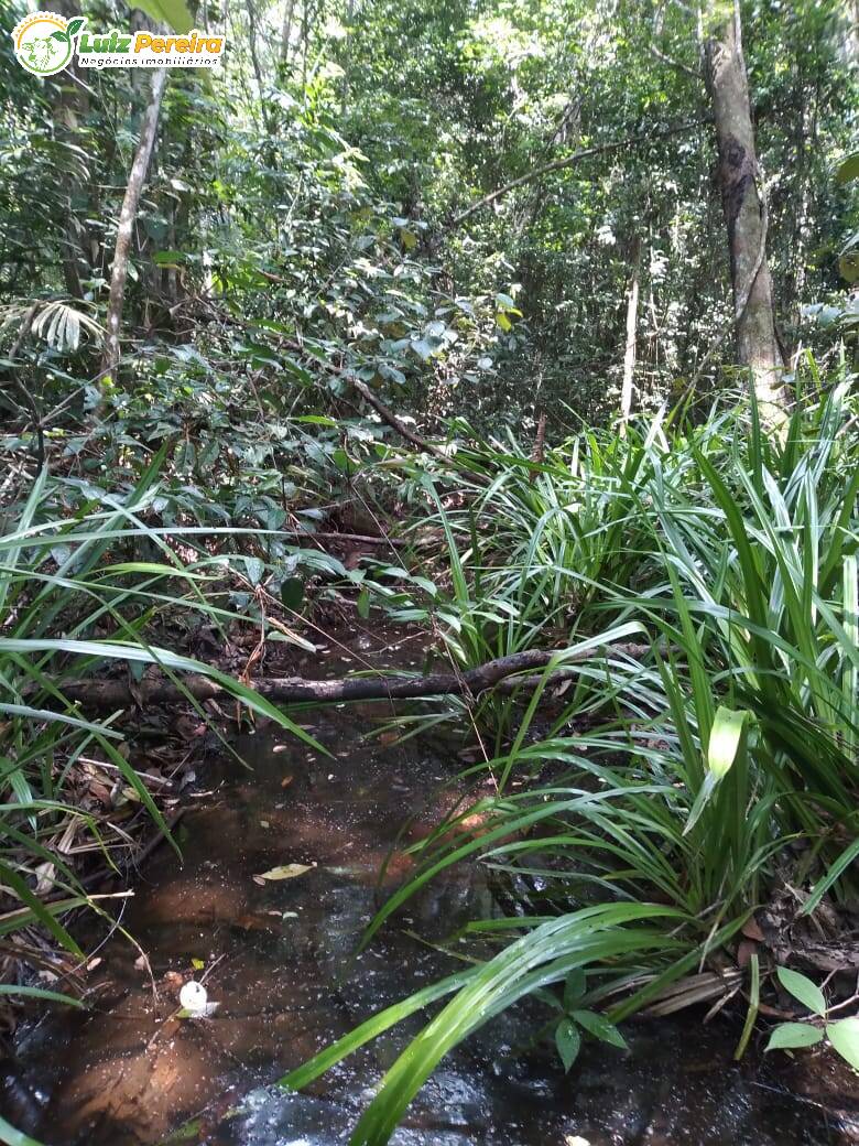 Fazenda à venda, 1400m² - Foto 5