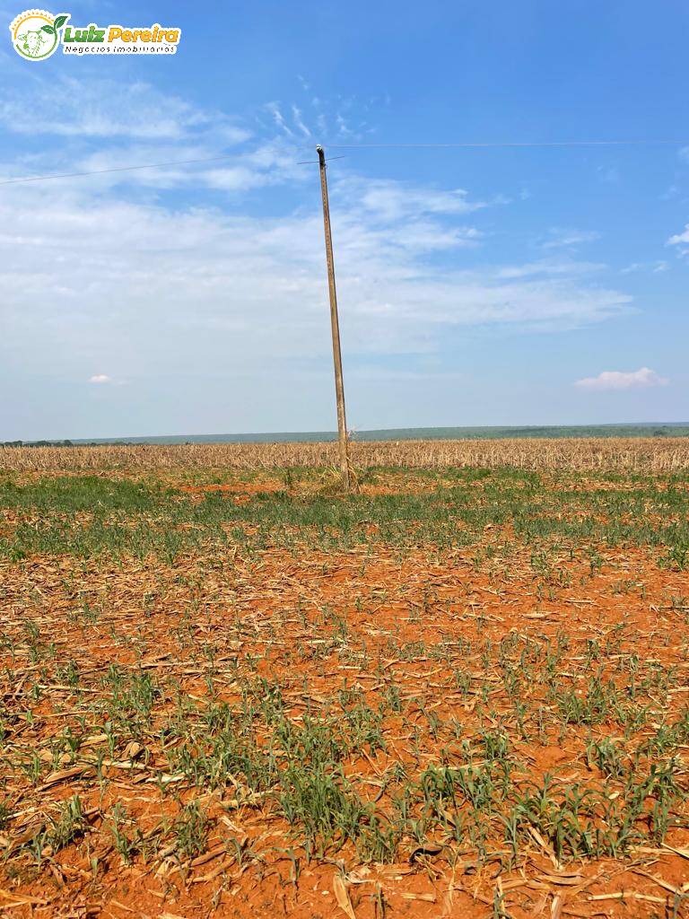 Fazenda à venda, 1744m² - Foto 11