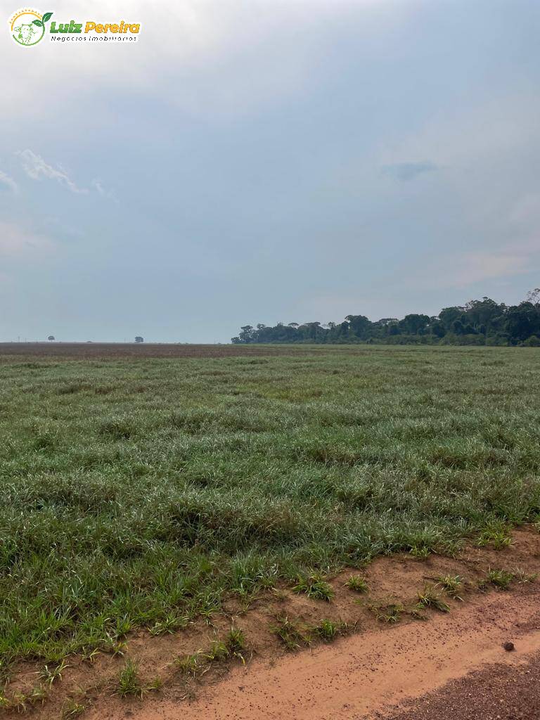 Fazenda à venda, 1744m² - Foto 5