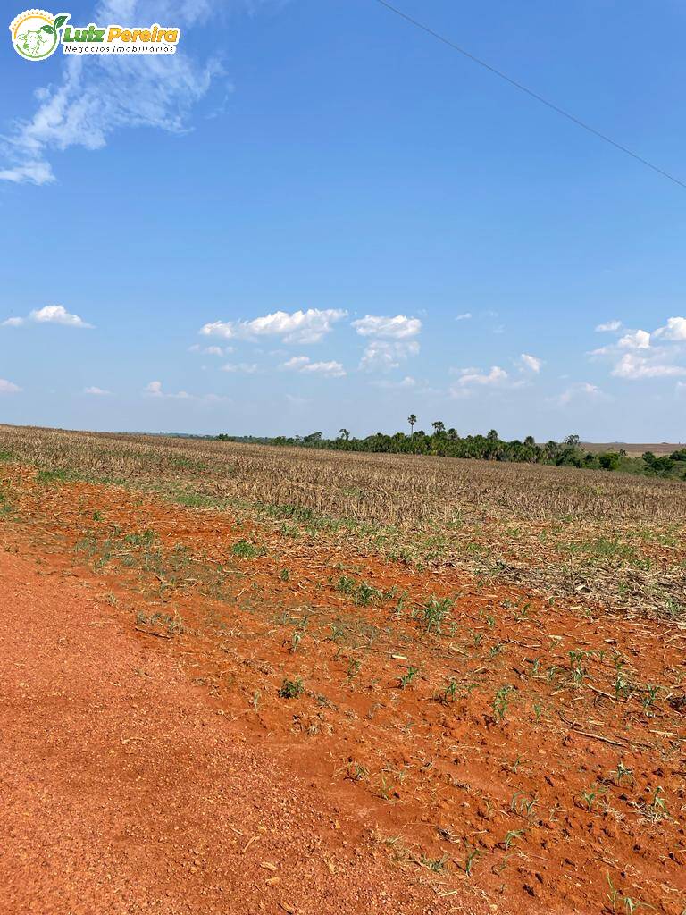 Fazenda à venda, 1744m² - Foto 13