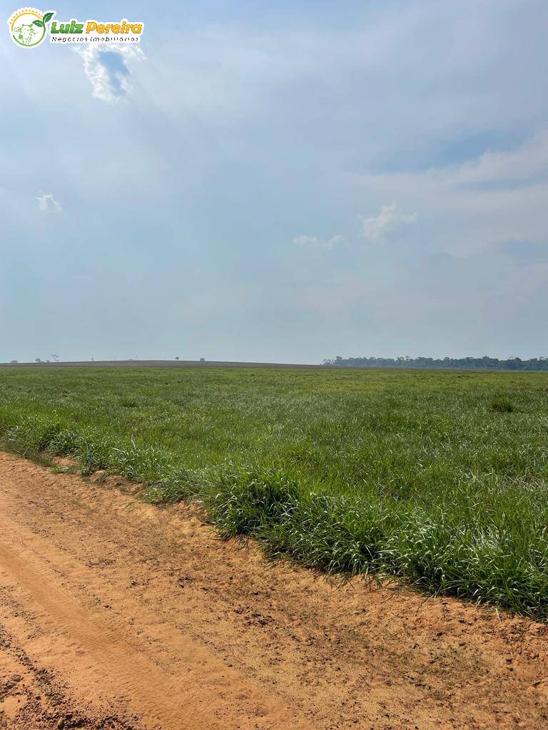 Fazenda à venda, 1744m² - Foto 21