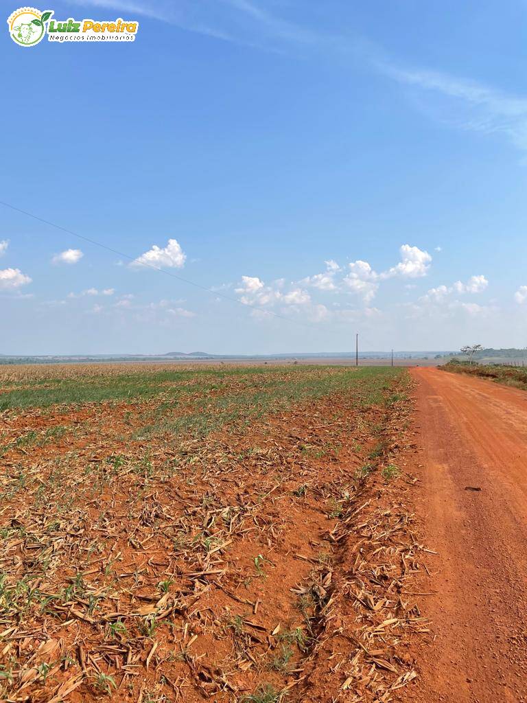 Fazenda à venda, 1744m² - Foto 14