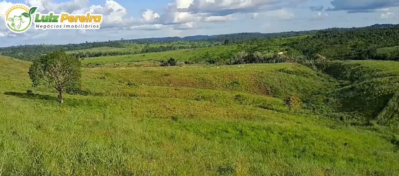 Fazenda à venda, 210m² - Foto 7