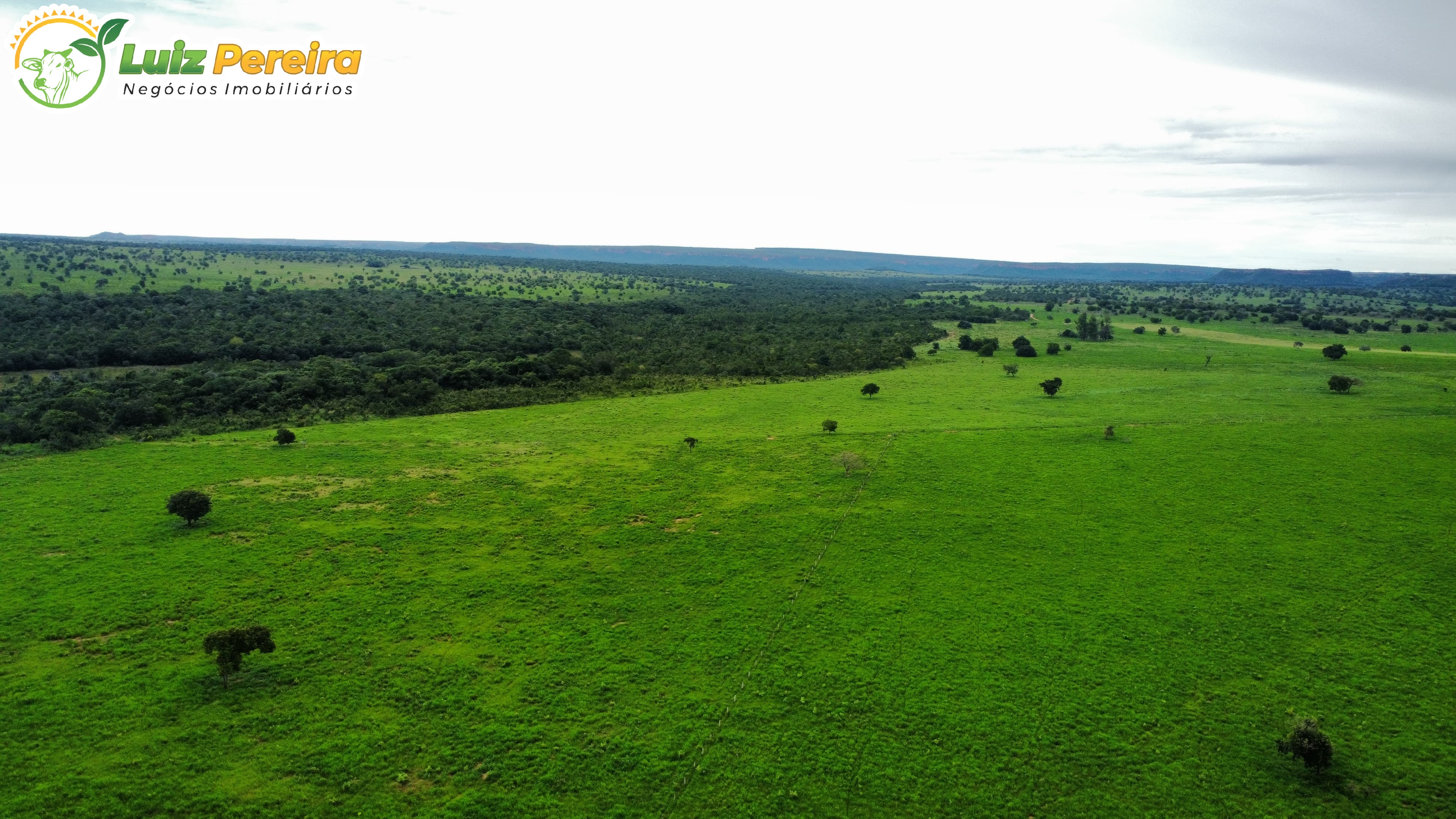 Fazenda à venda, 1068m² - Foto 6