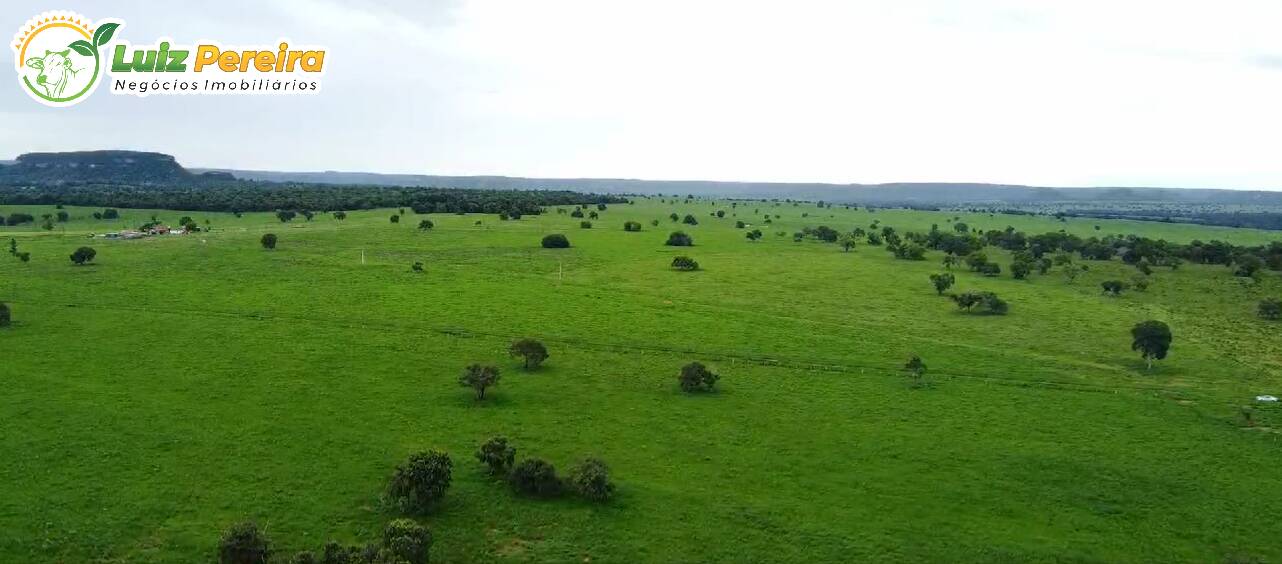 Fazenda à venda, 1068m² - Foto 5