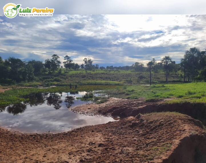 Fazenda à venda, 295m² - Foto 6